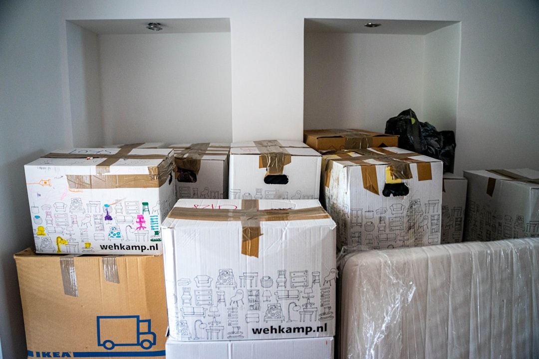 Empresa de vaciado de viviendas con seguro en Corbera de Llobregat