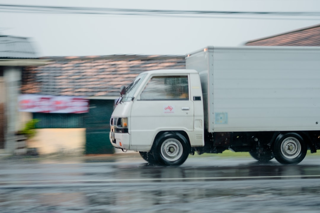 Empresa de vaciado de viviendas con seguro en Santpedor